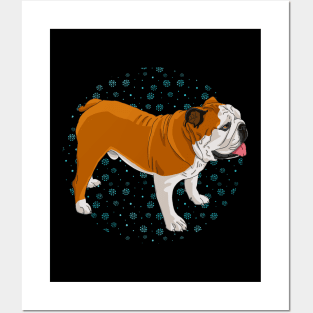 Lazy English Bulldog In Winter Season Posters and Art